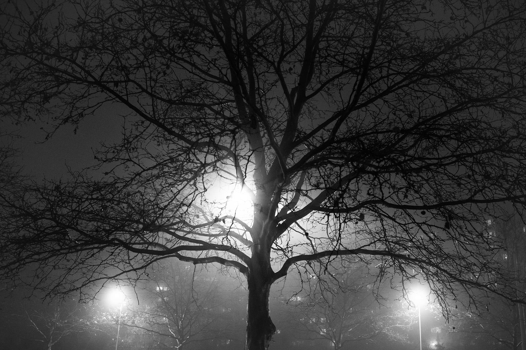 zdjecia mgly jako autoterapia