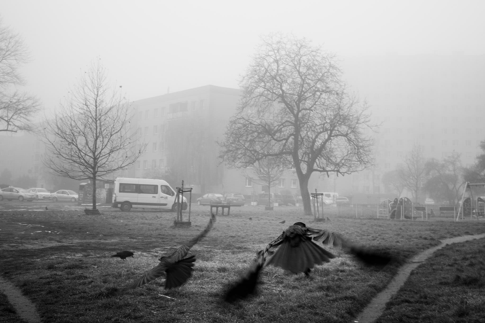 Fotografia jako terapia