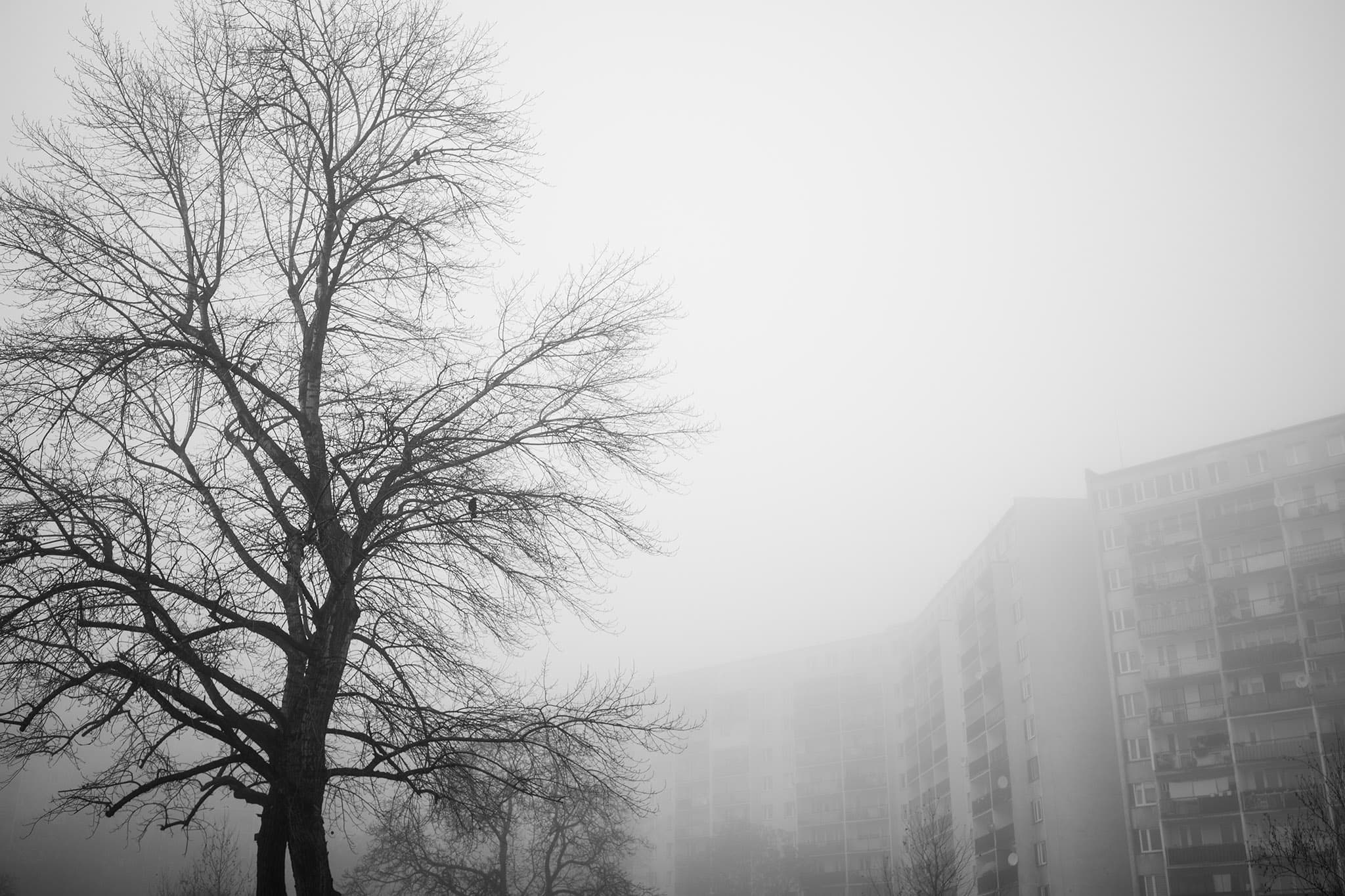 wrocławskie osiedle Gaj podczas mgły