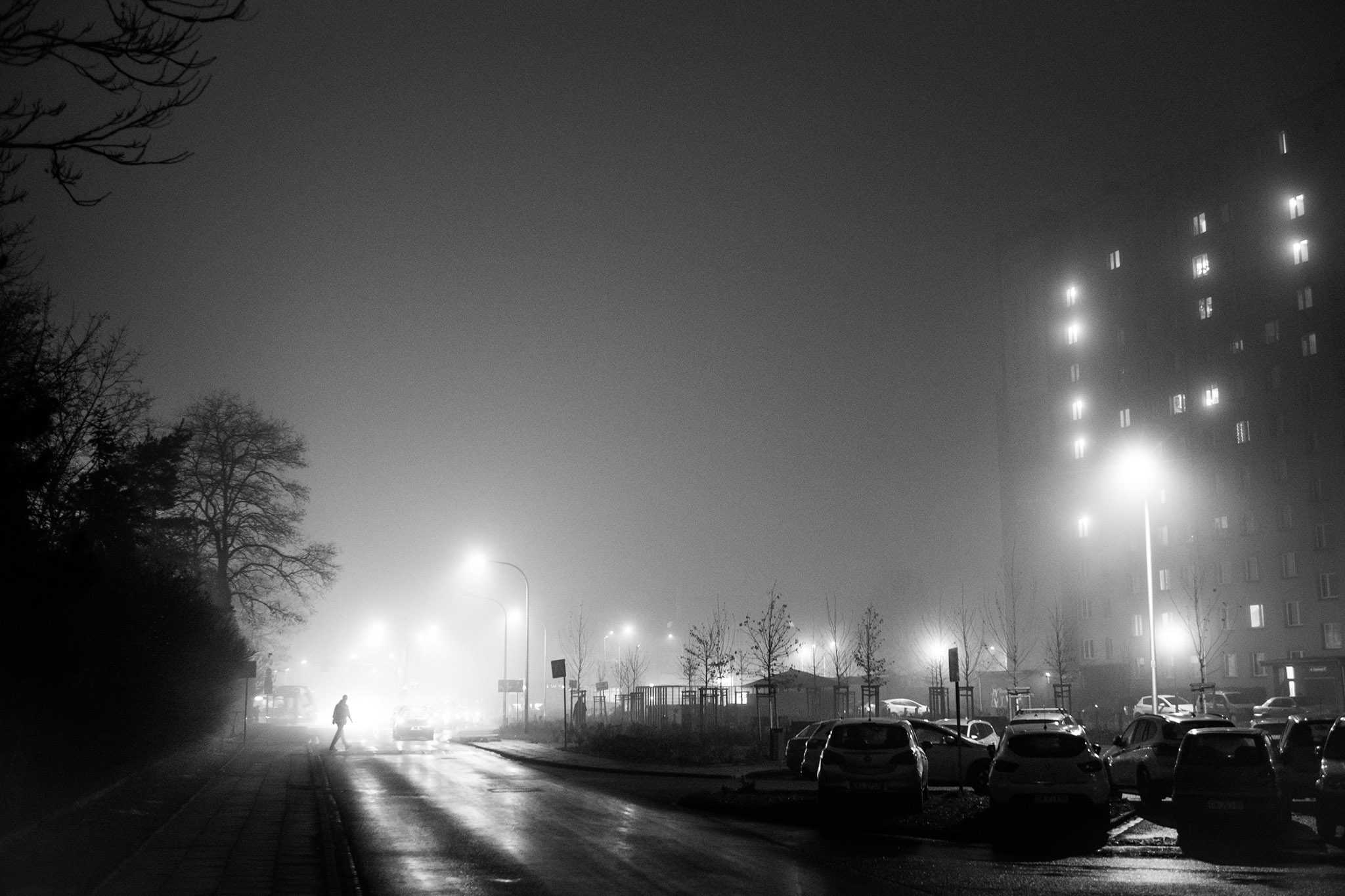 Wrocław zimą w nocy, podczas mgły